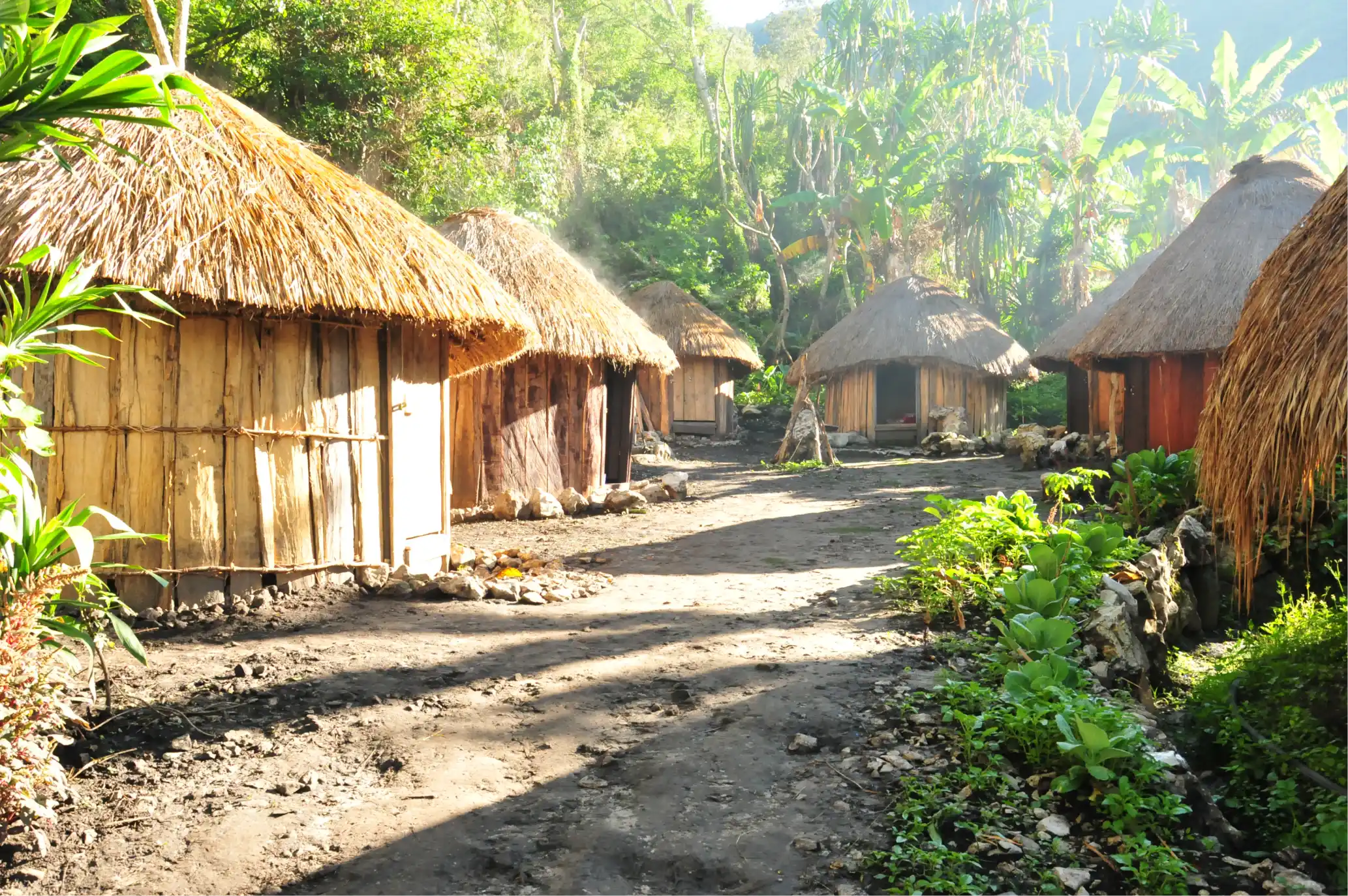 Struktur Pemerintahan Papua Pegunungan