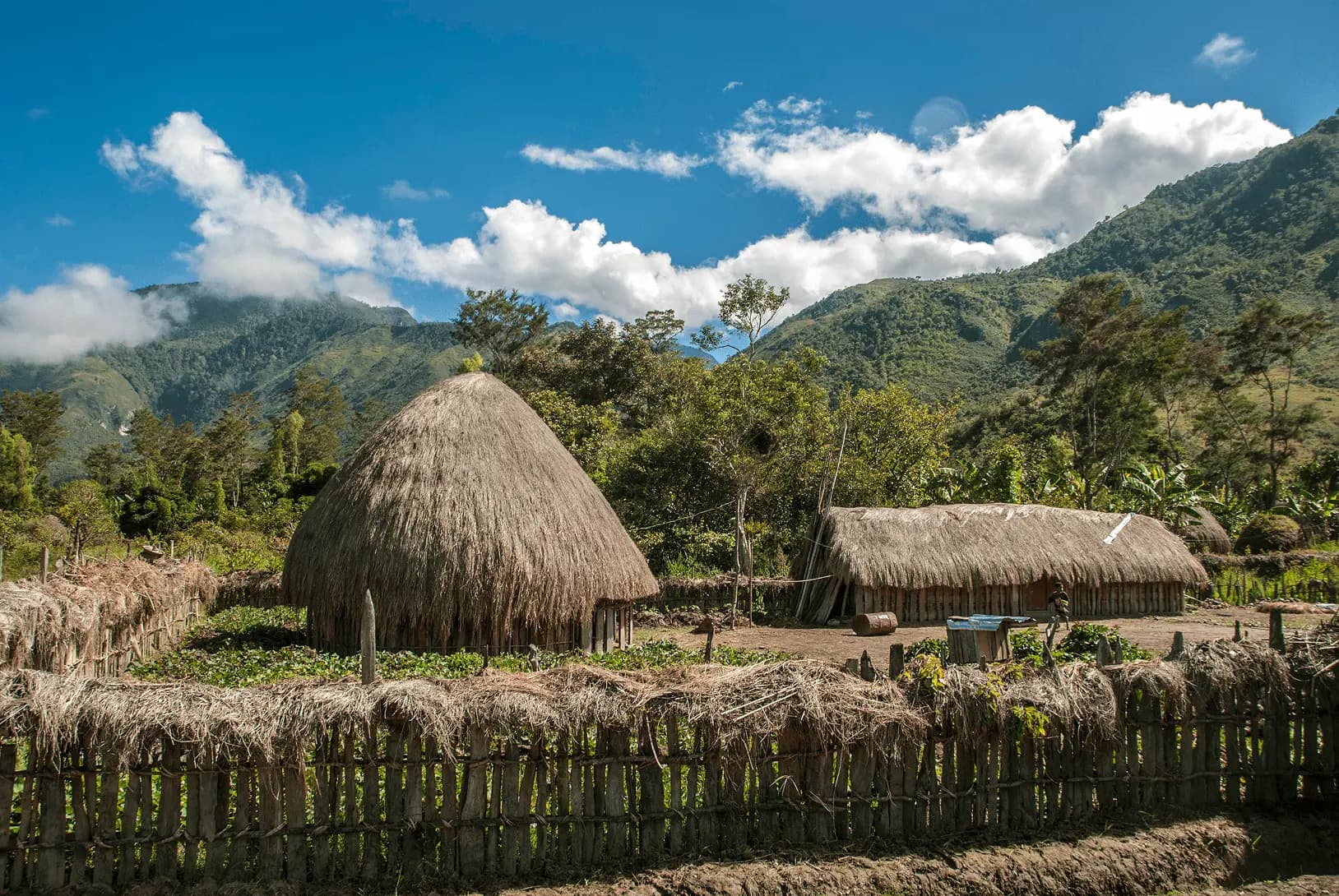 Kabupaten Papua Pegunungan